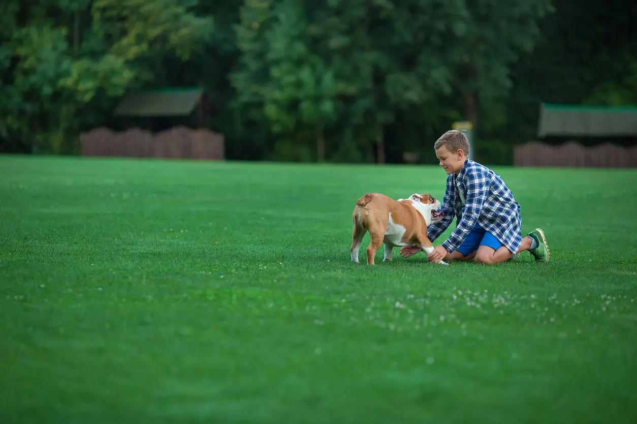 Un petit garçon adolescent avec son chien sur un terrain en gazon synthétique