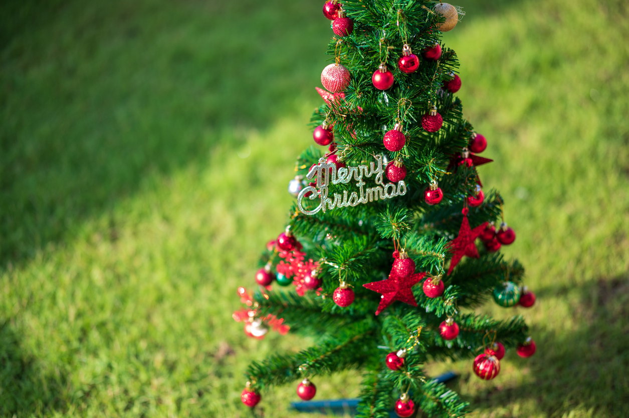 Decoration de Noel avec du gaon synthetique