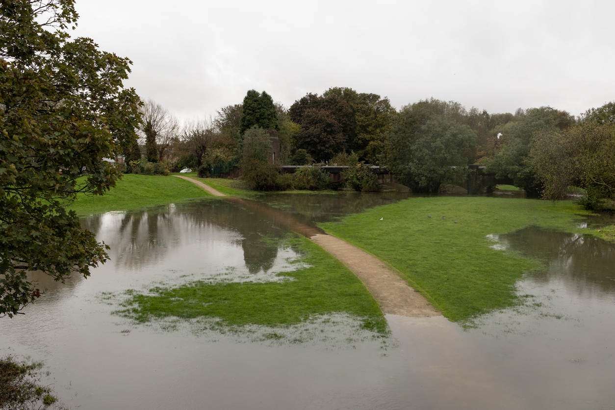 pelouse inondée