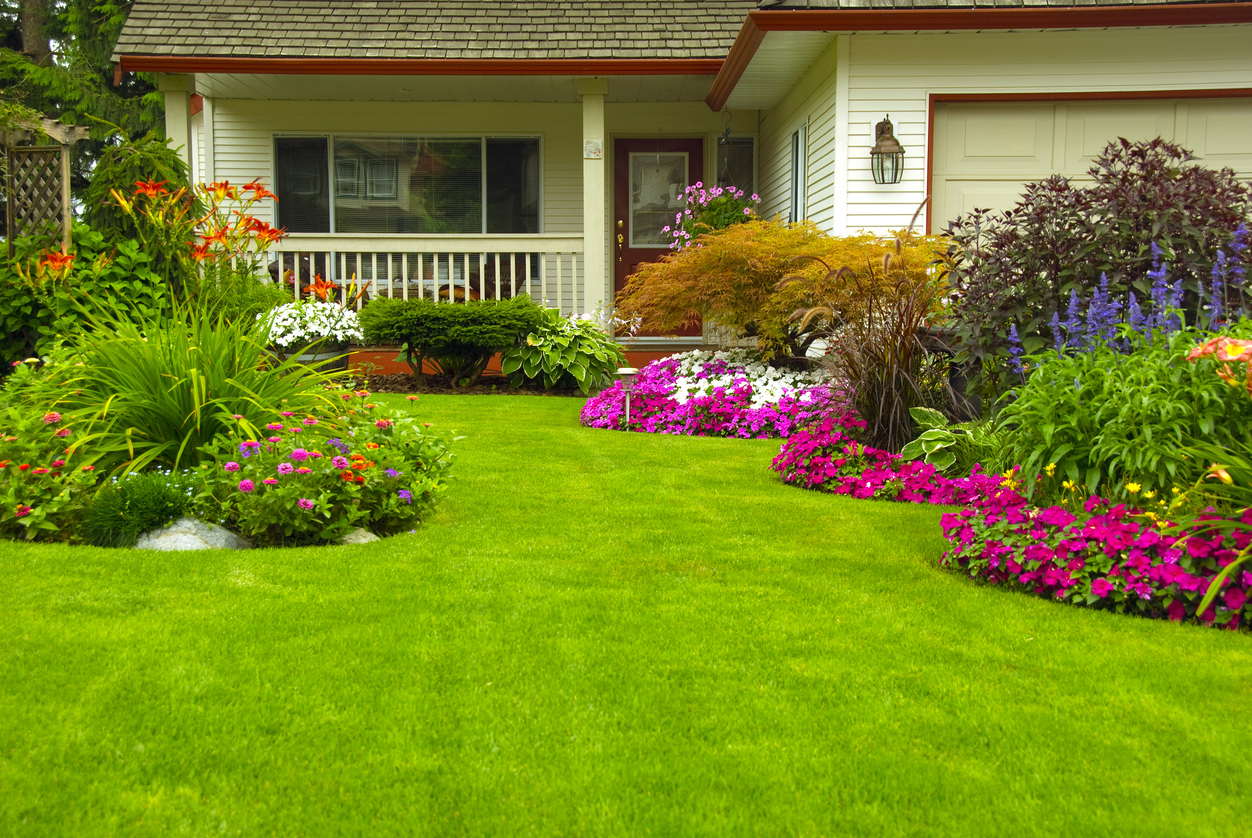 Maison et jardin avec du gazon synthétique et plein de fleurs de printemps